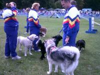 Stubbington Fayre Dogs waiting to perform AUGUST 2011 034
